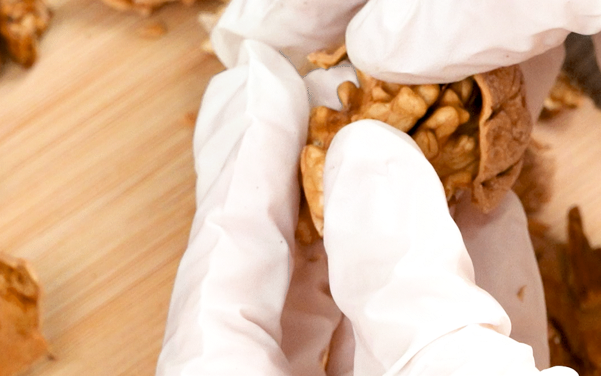 피호두 분리 과정 작업 장면 장갑을 낀 손으로 피호두 속살을 조심스럽게 분리하는 움직임이 담긴 GIF로, 생호두를 안전하게 까는 과정과 알호두 결이 살아 있는 모습