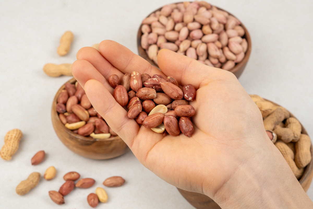 한 손 가득 담은 국산 볶은 땅콩 피넛라떼 땅콩잼 요리 재료