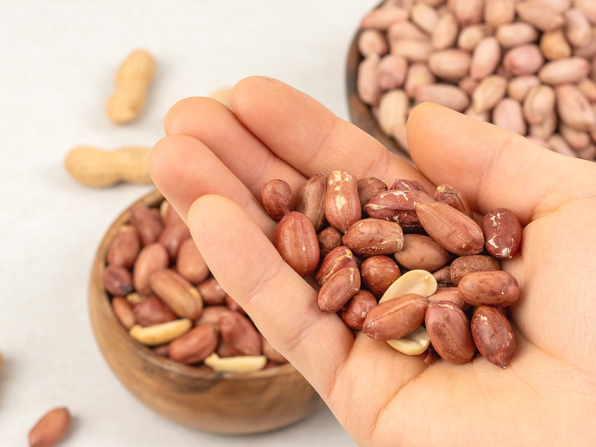 손바닥 위에 국산 생땅콩을 한 움큼 올린 장면으로, 껍질이 벗겨진 땅콩의 질감과 땅콩요리에 쓰기 좋은 형태를 보여줌.