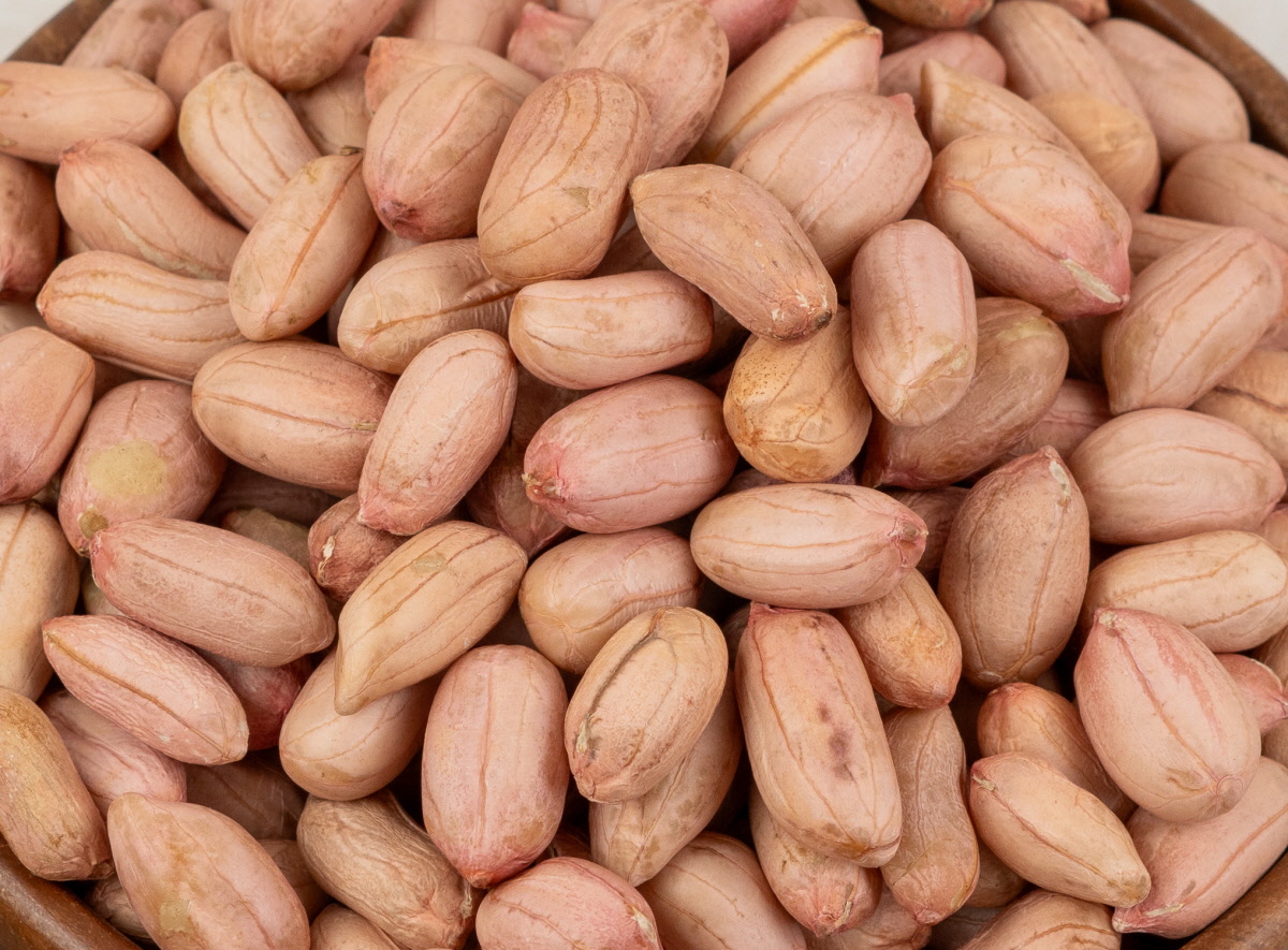 껍질이 벗겨진 생땅콩을 가까이에서 촬영해 전북고창땅콩 특유의 윤기와 알이 통통한 상태를 자세히 보여주는 이미지.