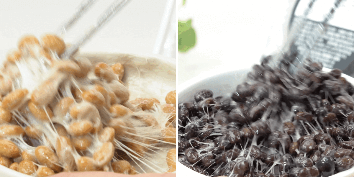 발효콩 제품 4종 맛보기 모음, 생청국장(낫또) 상세 이미지 2