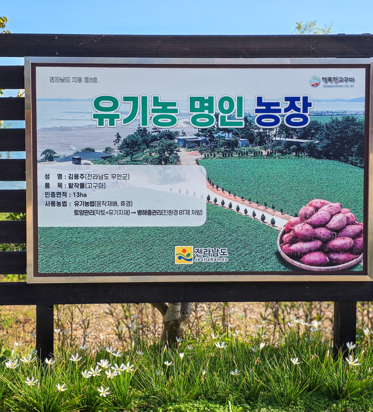 ‘유기농 명인 농장’ 안내판과 함께 농장 전경이 보이며, 친환경재배참깨 생산지의 깨끗한 환경과 인증 정보를 알 수 있는 장면.