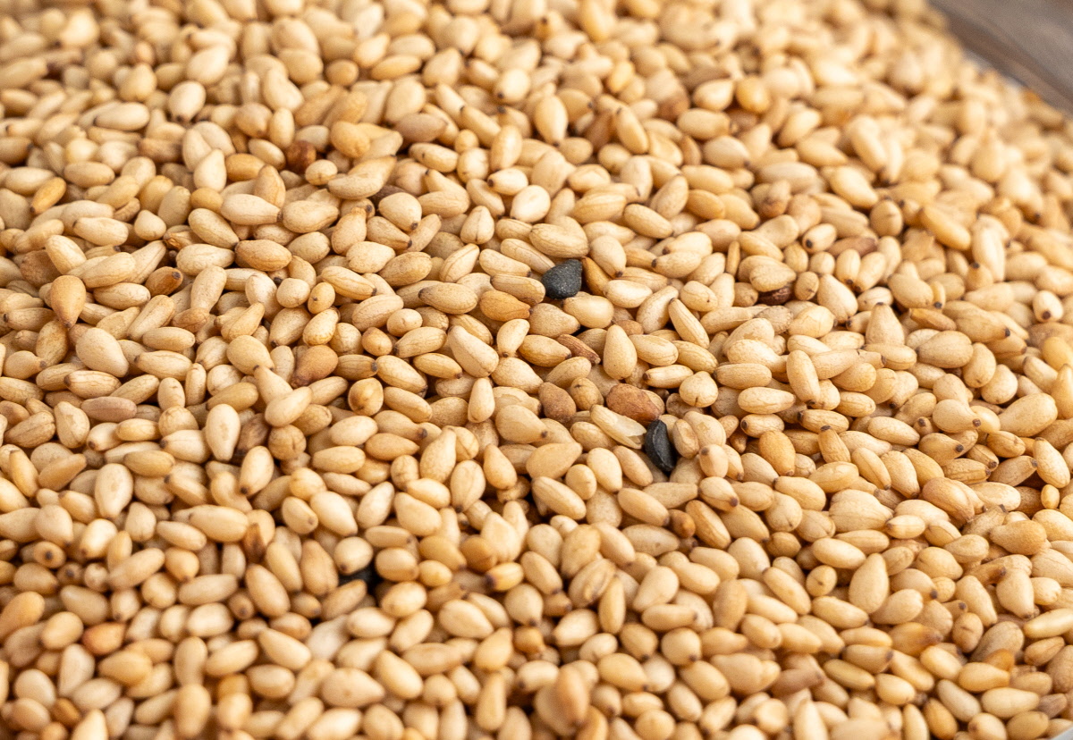 볶은참깨가 접시에 고르게 펼쳐져 있으며 국내산통깨 특유의 고소함과 다양한 색감이 섞인 자연스러운 질감을 가까이에서 보여주는 장면.