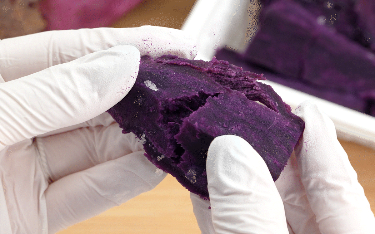 하얀 장갑을 낀 손이 보랏빛 자색고구마 조각을 천천히 반으로 나누며 촉촉하고 결이 살아 있는 질감을 보여주는 장면으로, 오븐에 구워 단맛이 농축된 천연 아이스크림 같은 식감이 표현됨