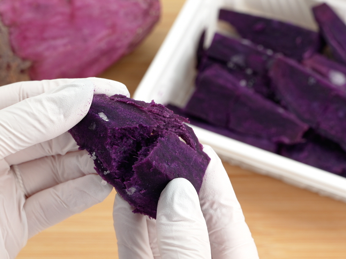 오븐에 구워 속이 촉촉하게 갈라진 자색고구마 조각을 장갑 낀 손으로 나누어 보여주는 장면으로, 진한 보랏빛 색감과 고소한 향이 느껴지는 천연간식의 질감이 표현됨