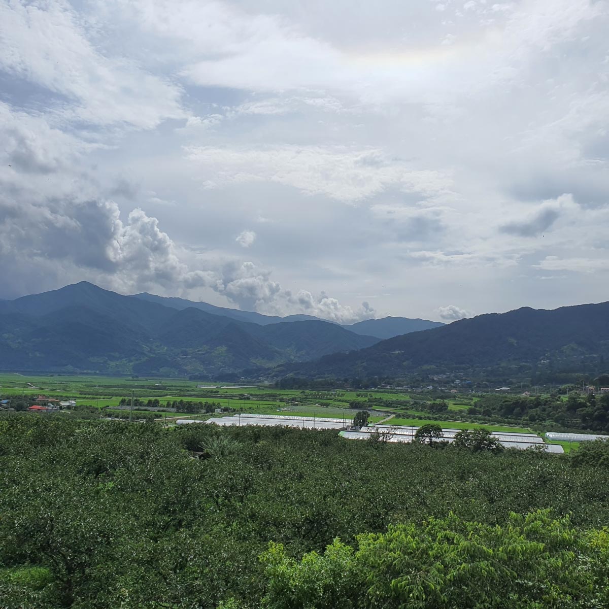 지리산 하동 악양면의 모습