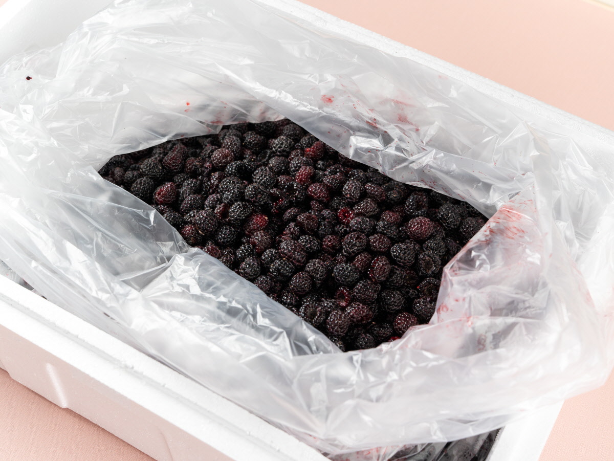 싸리재 냉동 복분자 3KG 아이스박스 포장 상태 신선함을 그대로 유지하기 위해 아이스박스와 비닐로 깔끔하게 포장된 싸리재 냉동 복분자 3KG
