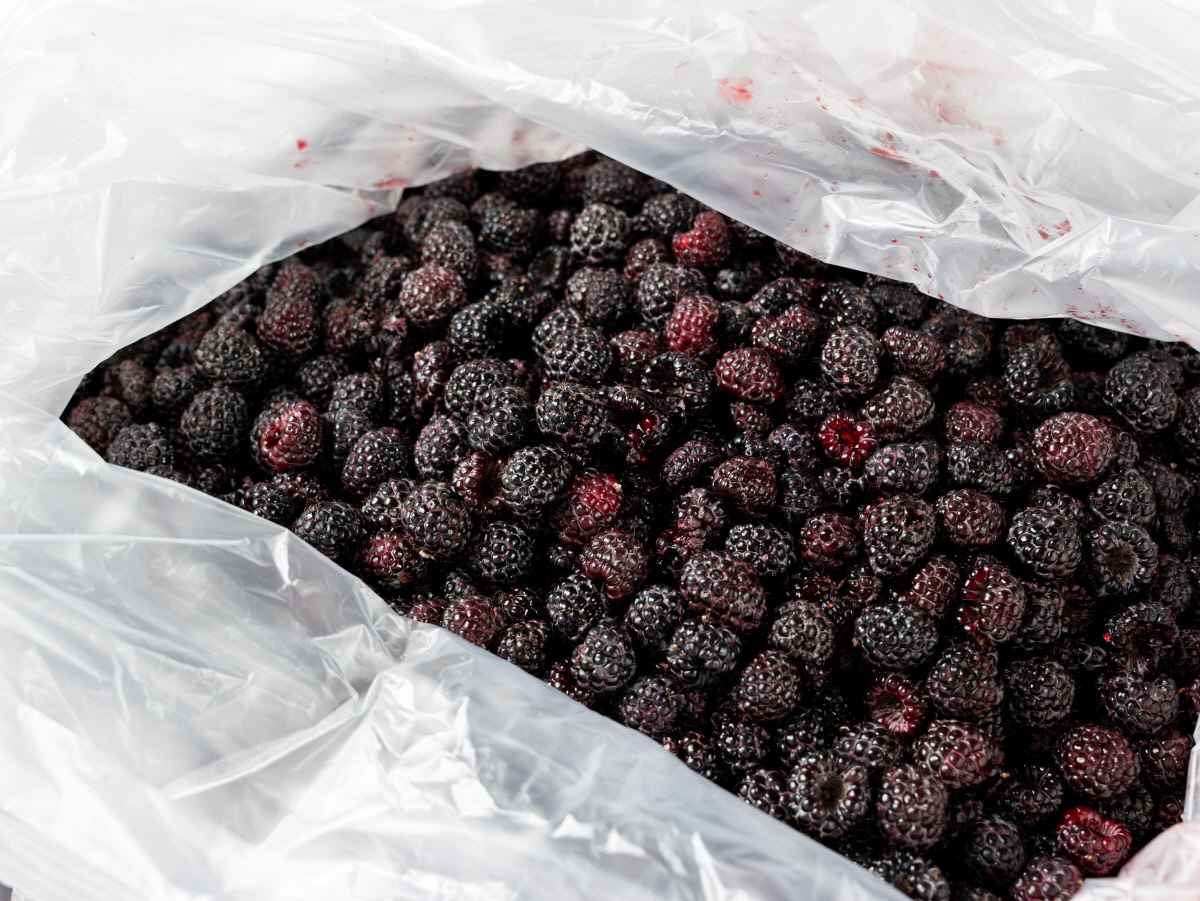 싸리재 복분자 3KG 냉동 포장 상태 상세 산지직송으로 안전하게 배송되는 싸리재 정읍 냉동 햇복분자 3KG 아이스박스 포장 내부