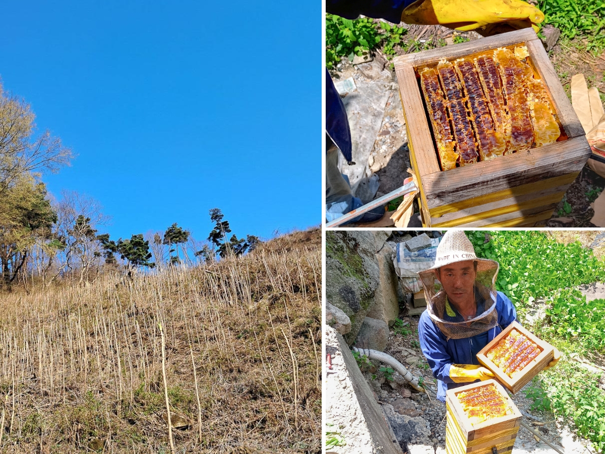 장수 성암마을의 풍경과 꿀채취를 하는 모습
