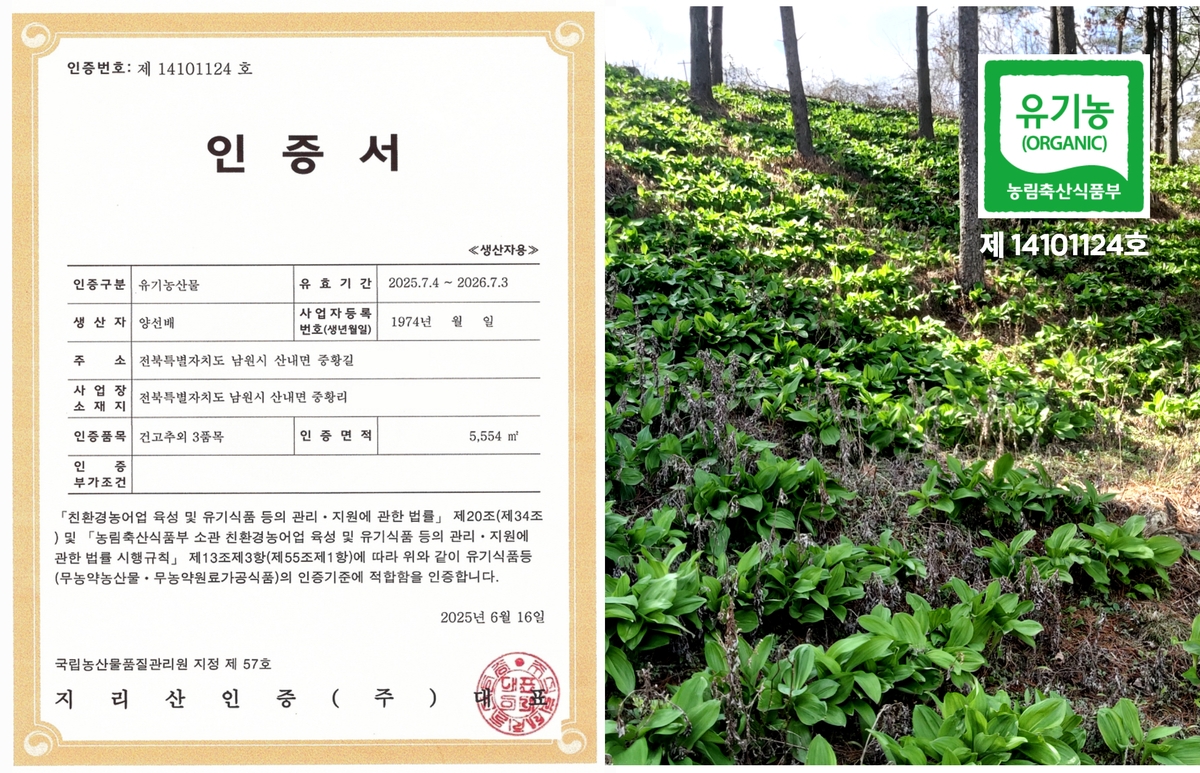 산마늘잎이 자라는 숲속의 모습을 찍은 사진위에 무농약 인증서를 붙임. 무농약 인증사항이 적혀 있음