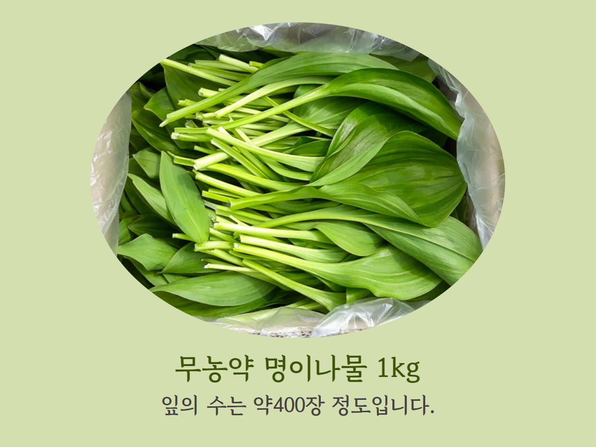종이박스 하얀 비닐을 넣고 거기에 산마늘잎 1키로를 담은 모습