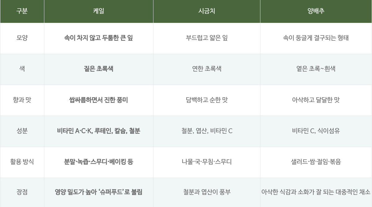 케일, 시금치, 양배추의 모양과 색, 영양 성분, 활용법을 비교한 표 자료
