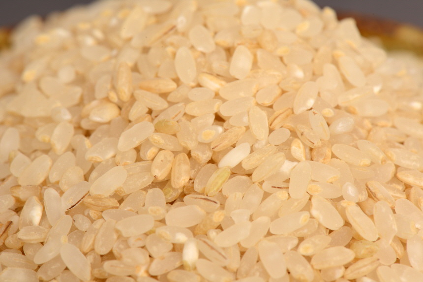 오분도미쌀을 확대해서 보여주고 있다.